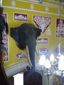 massive elephant head in Bangalore Palace 