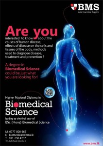 B.Sc (Hons) Biomedical Science from BMS
