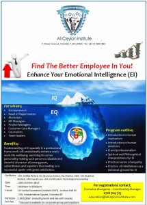 Enhance your Emotional Intelligence (EI) Workshop in Srilanka