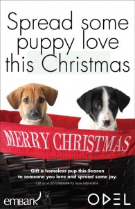 Celebrate your Christmas with Homeless Puppy from ODEL Embark