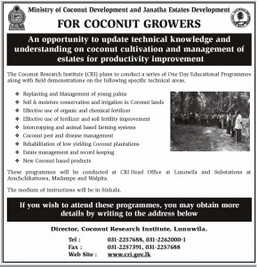 An opportunity to update technical knowledge and understanding on coconut cultivation and management of estates for productivity improvement
