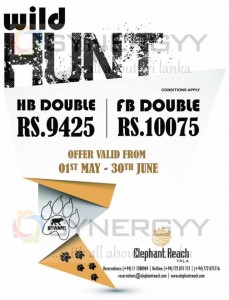 Elephant Reach Yala – Wild Hunt Offer from 1st May to 30th June 2013