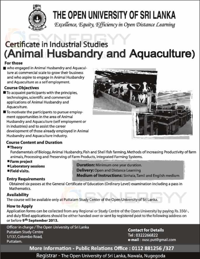 Certificate and Industrial Studies (Animal Husbandry& Aquaculture) from  Open University of Sri Lanka – SynergyY
