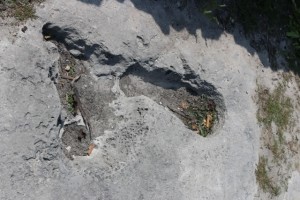 Large Foot Print in Rock at Delft Island