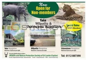Department of Wildlife Bungalows are Open for Public