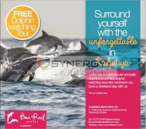 Stay Weekend at Ban Reef and enjoy Free Dolphin Watching at Kalpitiya