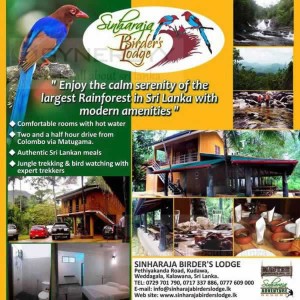 Sinharaja Birder's Lodge –a fine Hotel closest to Sinharaja Rain Forest