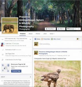 Prasanna Ambigaibagan Nature and wildlife Photography