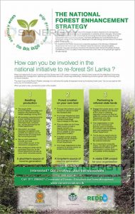 The National Forest Enhancement Strategy – Re-forest Sri Lanka