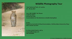 Wildlife Photographt Tours to Yala NP