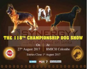 Championship Dog Shows at BMICH on 27th August 2017