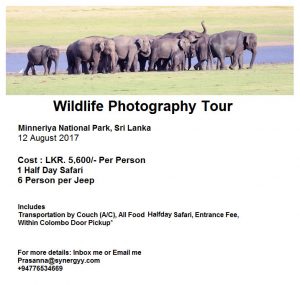Wildlife Photography Tour To Minneriya NP on 12 August 2017 by Prasanna Ambigaibagan
