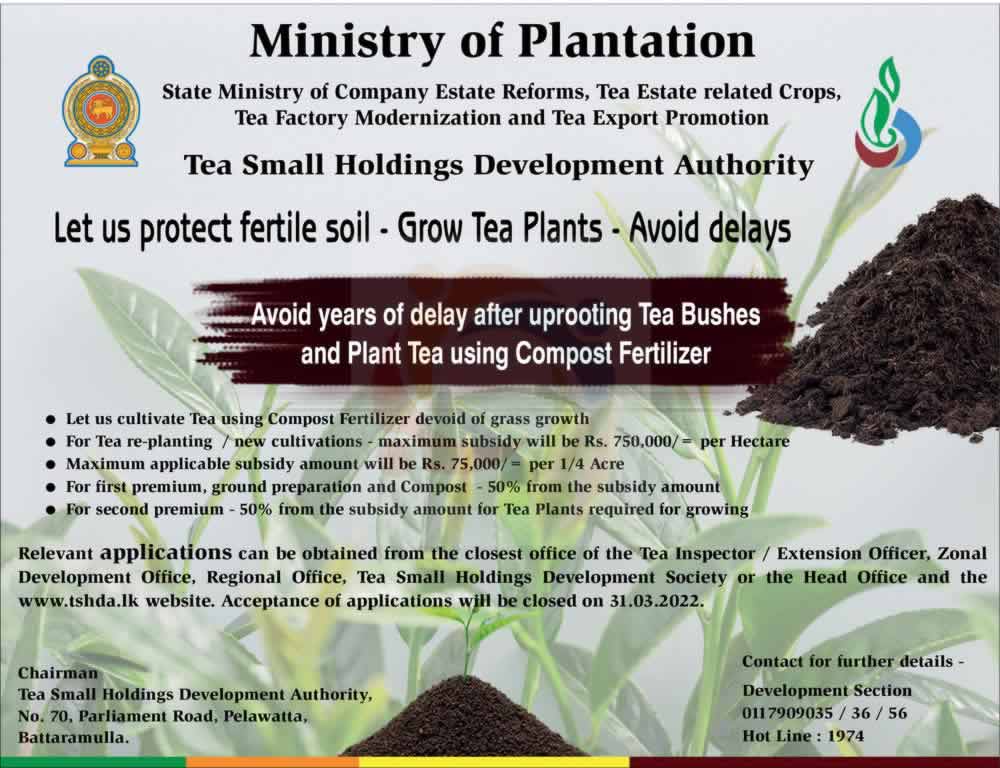 Tea Re-Planting Subsidy for small tea estate owners – Ministry of Plantation – Application closed on 31st March 2022